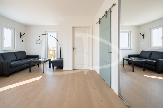 porte vitre après.png